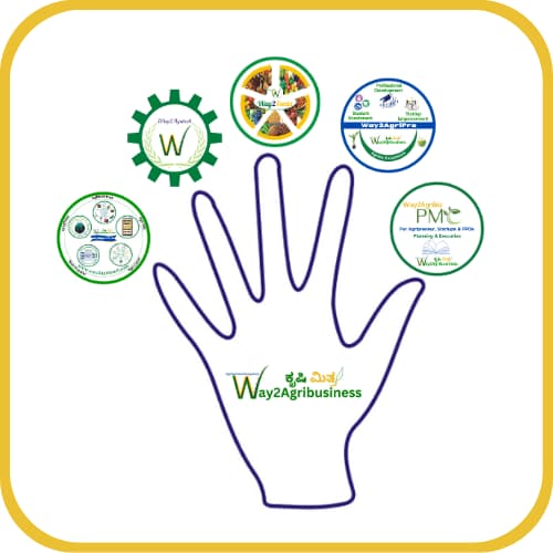 Diagram showing Way2Agribusiness's Five for Five integrated service model
