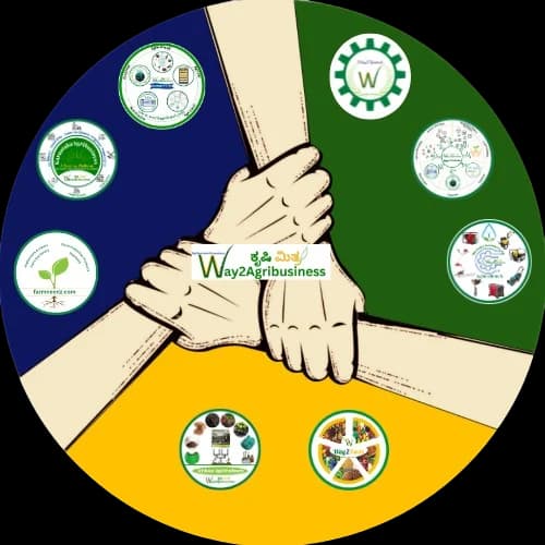 Illustration of digital connectivity across online agribusiness services