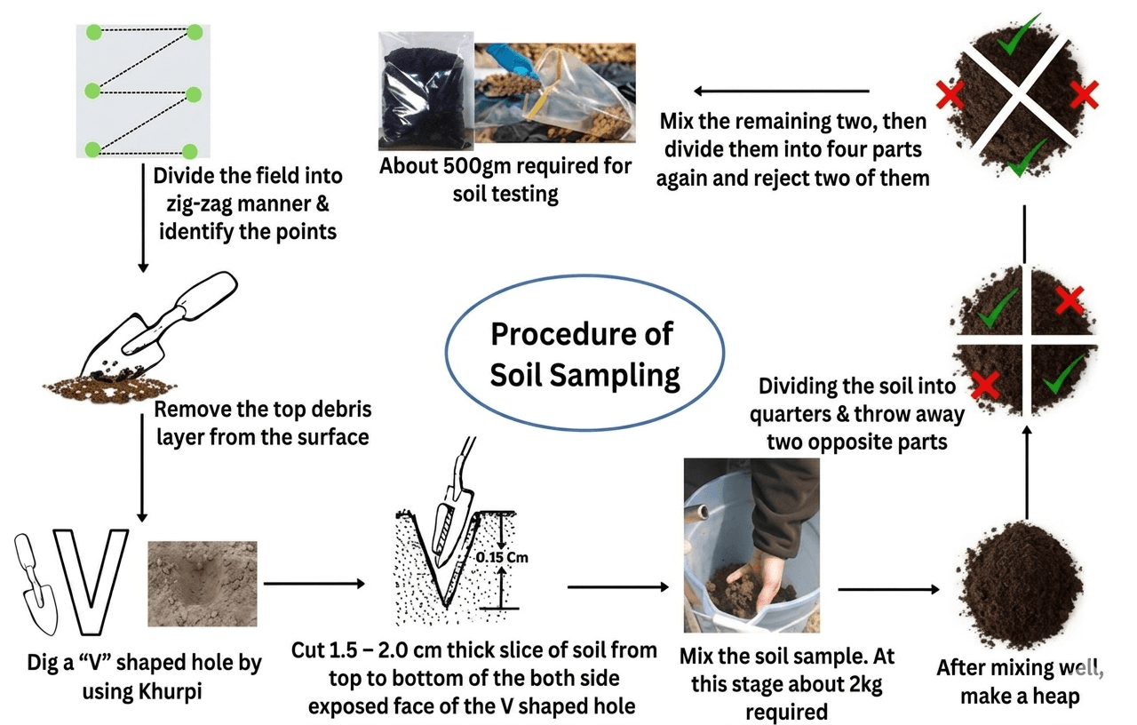 Soil sampling steps illustration